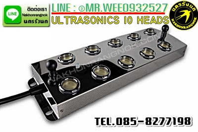 Ultrasonic 10 Head